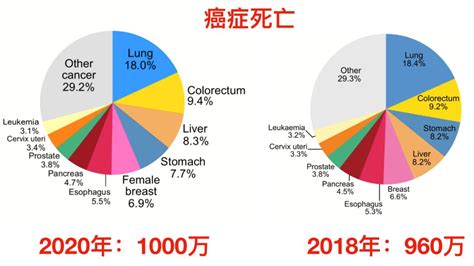 5大类23个因素，是导致我国癌症高发的原因_澎湃号·湃客_澎湃新闻-The Paper