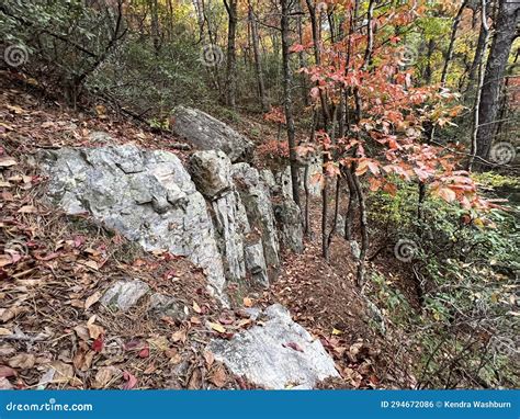 Read Mountain Preserve, Virginia Stock Photo - Image of trail, miles ...