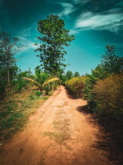 Global Beautiful Background 的图像结果