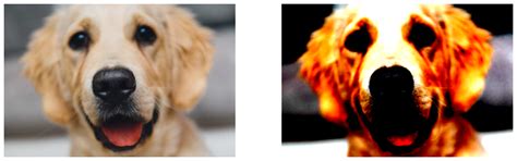 Normalize operator — NVIDIA DALI 0.25.0 documentation