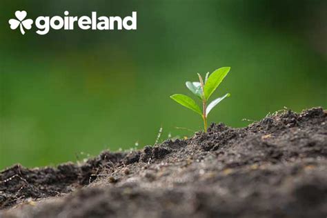 Masters in Environmental Engineering in Ireland | MSc Environmental ...