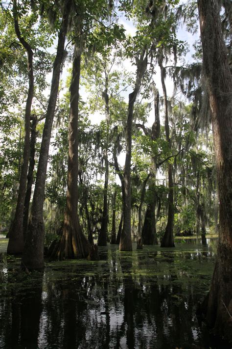Science Nature 的图像结果