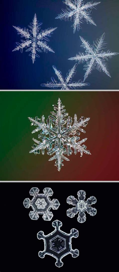 Image result for Snowflake Query Profile