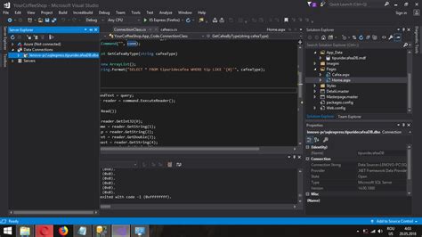 System.data.sqlclient.sqlexception 的图像结果