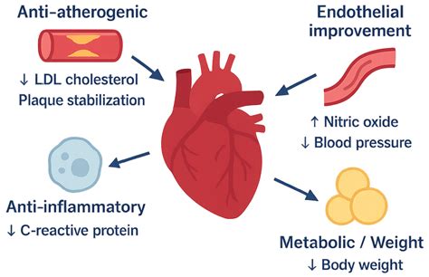 GLP-1 Agonists in Cardiovascular Diseases: Mechanisms, Clinical Evidence, and Emerging Therapies