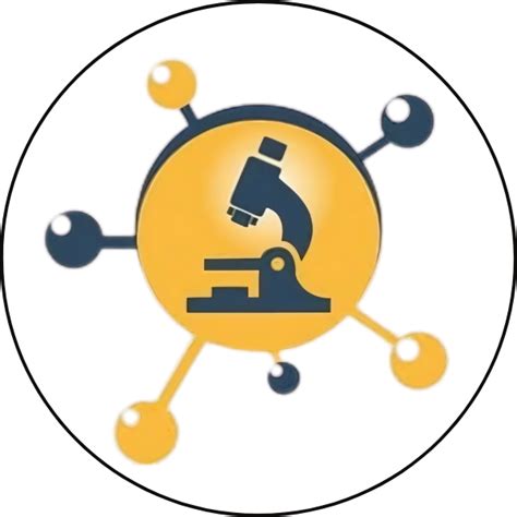 Nishar India – AI Digital Marketing Company in Raipur | Best IT Services