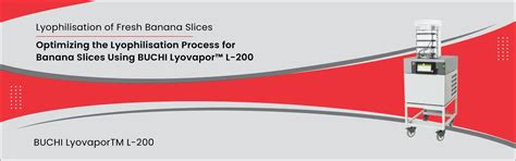 Optimizing the Lyophilisation Process for Banana Slices Using BUCHI ...