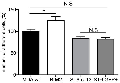 ST6GALNAC5 Expression Decreases the Interactions between Breast Cancer ...