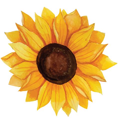 Sunflower Clip Art