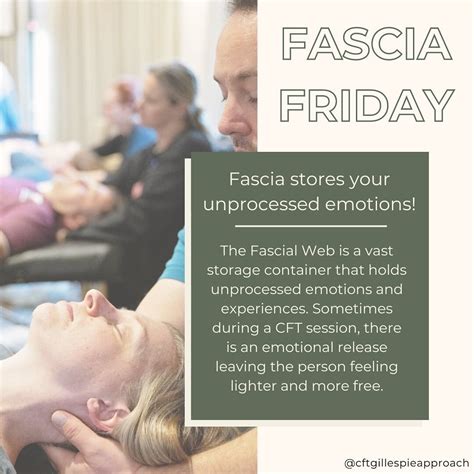 Craniosacral Fascial Therapy (CFT) Training — Craniosacral Fascial Therapy