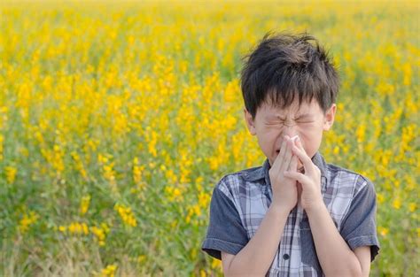 Pollen Allergy - patofisiologi, diagnosis, penatalaksanaan - Alomedika