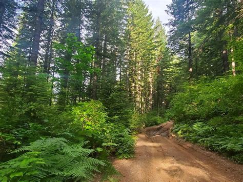 Deep Woods Brap Adventure, Washington - GPS Trail Map, Conditions ...