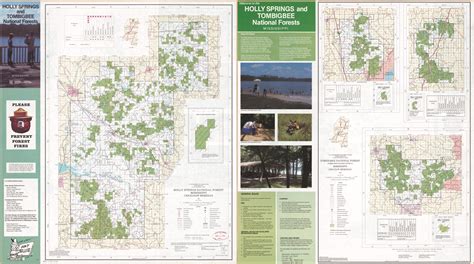 Holly Springs and Tombigbee National forests, Mississippi | Library of ...