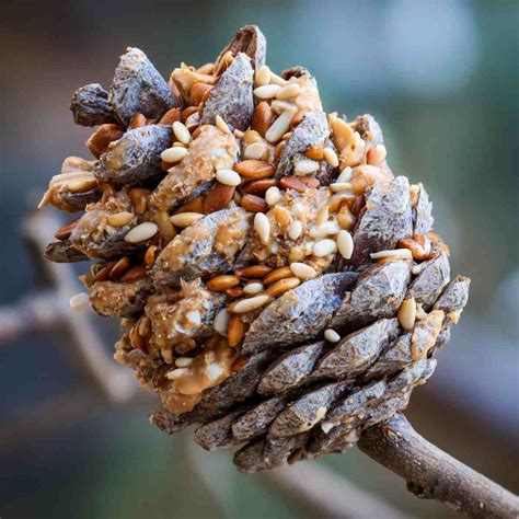 17 Wildlife Feeding Station Ideas That Turn Your Garden Into an Animal ...