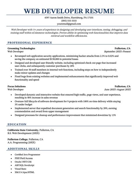Professional Web Developer Resume - Resume Example for Word