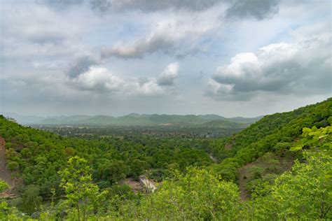 Polo Forest Tour Package - Polo Safari