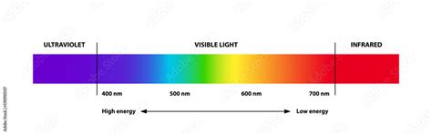 Light 的图像结果