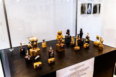 Human Evolution Technology 的图像结果