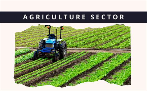 The budget likely to continue prioritizing agriculture sector – KSEStocks