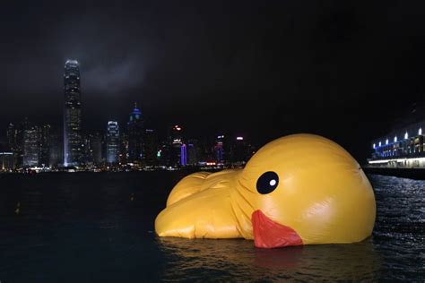 Image result for Deflating Inflatable Duck