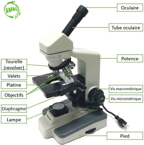 Image result for Microscope Schema Optique