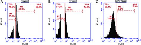 Flow Cytometry Histogram 的图像结果