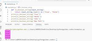Image result for Function Check Serial Serial String Boolean
