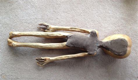 Image result for Alien Movie Prop