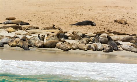 Guide to Hiking and Camping on Santa Rosa, Channel Islands – Wandering ...