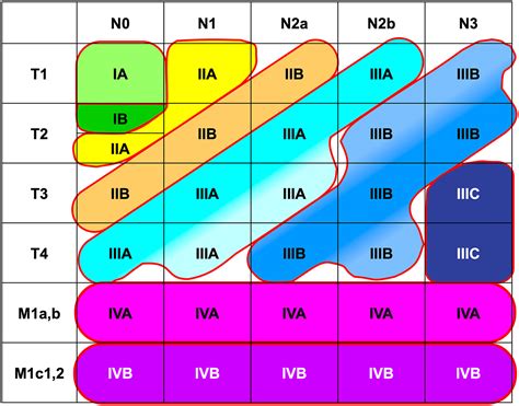 The Proposed Ninth Edition TNM Classification of Lung Cancer - CHEST