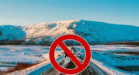 This country has no mosquitoes! - India Today