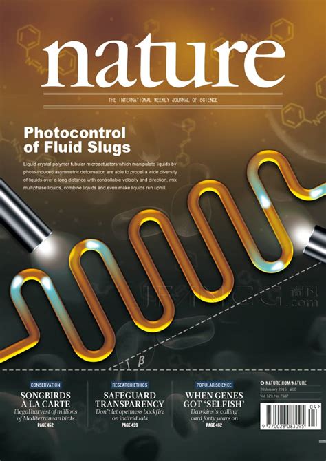 Nature封面图 的图像结果