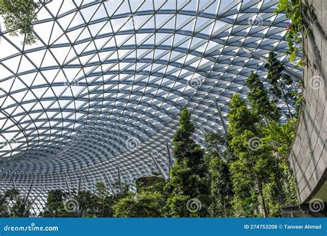 Tree Inside Building 的图像结果