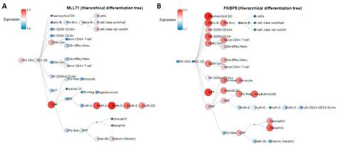 Cancers | Special Issue : Malignant Mesothelioma