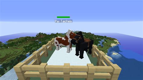 Image result for Mo' Creatures Breeding Guide