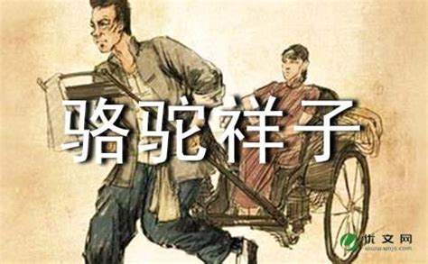 《骆驼祥子》经典名句，骆驼祥子好句子感悟及赏析-我爱育娃