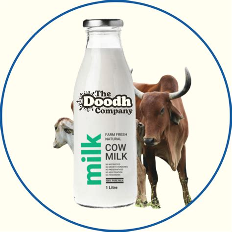 Order Fresh Cow & Buffalo Milk Online – The Doodh Company