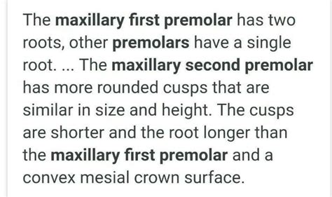 Difference between maxillay first premolar and mandibular second ...