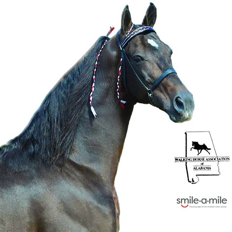 SF-14) A Stallion Fee to Maroon 5 to be auctioned on behalf of the ...