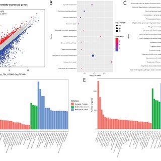 Image result for Transcriptome Analysis