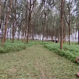 Best Top Rated Park in Purathur, Kerala, India | Yappe.in