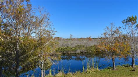 Grassy Waters Preserve Map