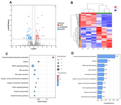 Inhibitory Impact of Prenatal Exposure to Nano-Polystyrene Particles on ...