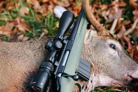 A Guide To Deer Season Virginia 2025 | HuntWise