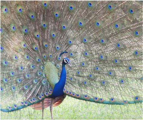 National Zoological Park