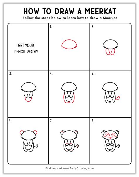 How to Draw a Meerkat - Emily Drawing