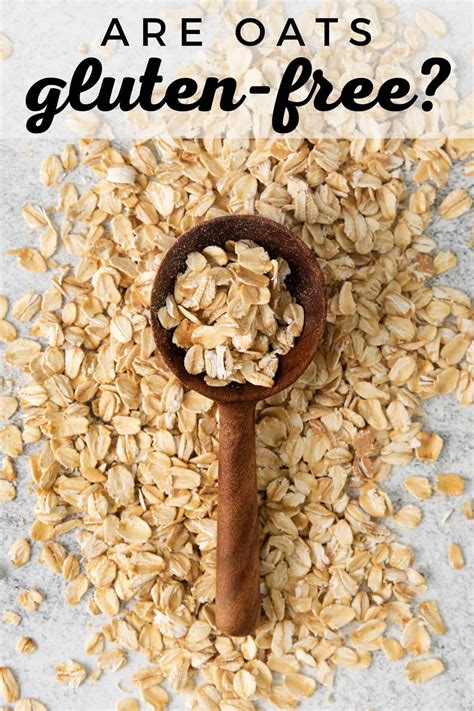 Are Oats Gluten-Free? (IT DEPENDS!) - Meaningful Eats