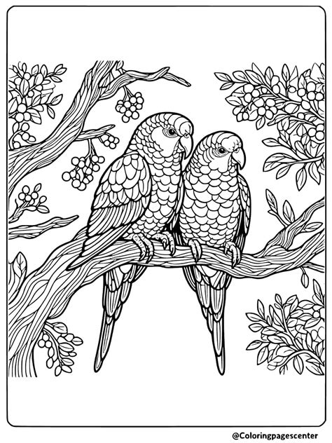 Parrot Coloring Pages | Free Printable PDFs