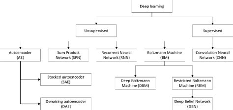 AI Algorithms 的图像结果