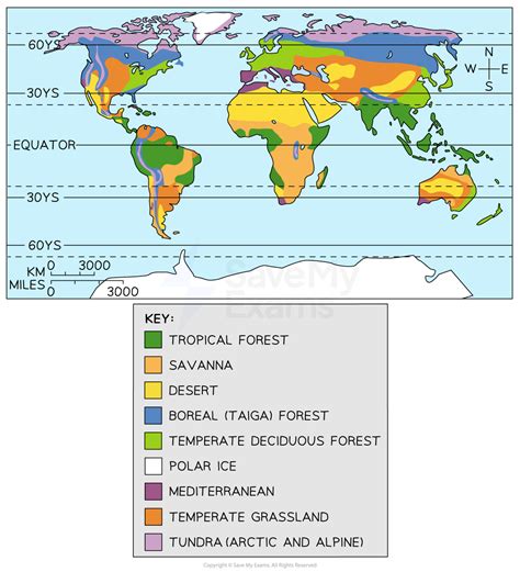 Large Scale Ecosystem Definition Geography - Revision Notes